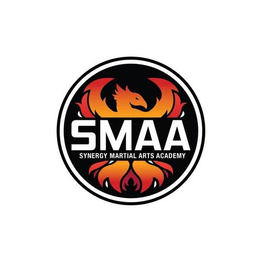 Synergy Martial Arts Academy Synergy Martial Arts Academy
