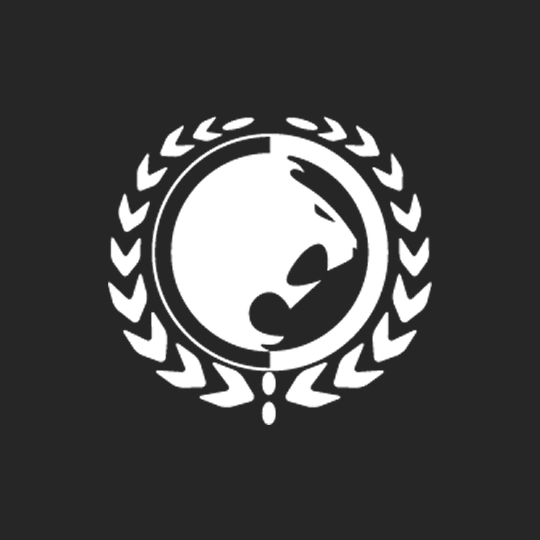 Renzo Gracie Academy